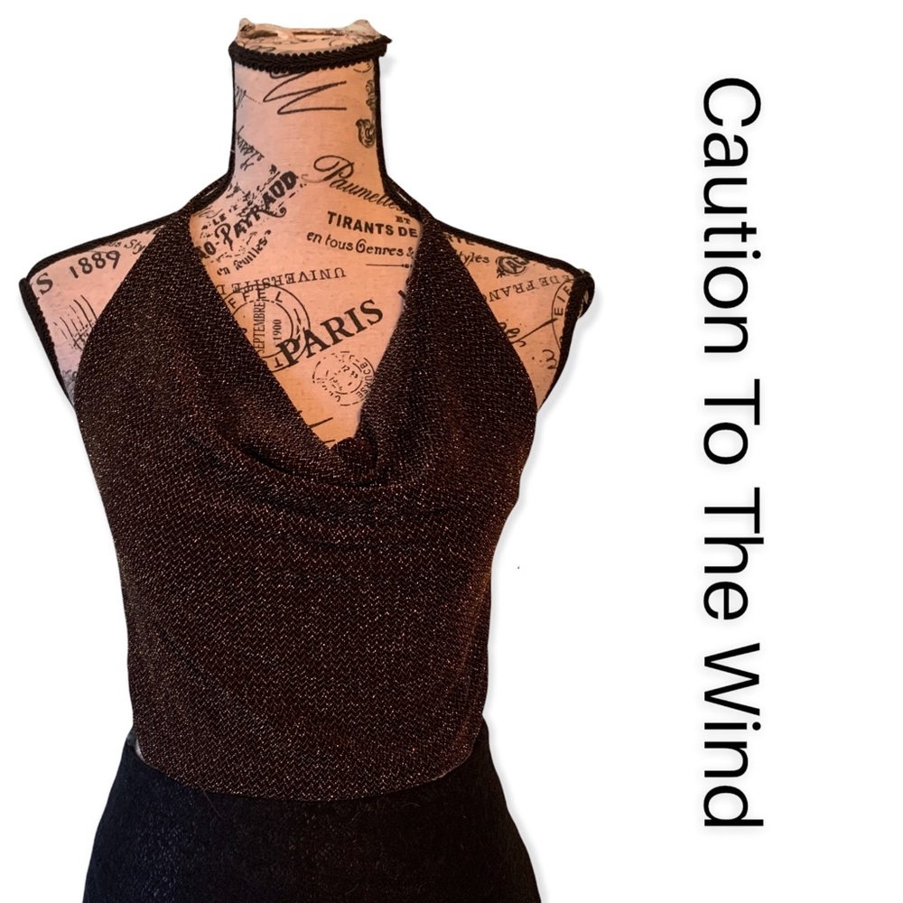 Caution To The Wind Sparkly Tie-Halter Top Open Back Size Large NWT